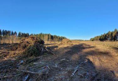 Tocht Stappen Bouillon - rando rochehaut 11-01-2023 - Photo