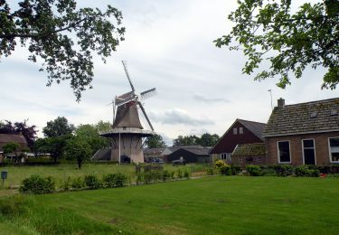 Randonnée A pied Dalfsen - WNW Vechtdal - Nieuwleusen - rode route - Photo