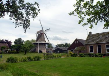 Tour Zu Fuß Dalfsen - WNW Vechtdal - verbinding V17-V52 - Photo