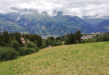 Tocht Stappen Peisey-Nancroix - Arc 2000 - Le Canal- Arc 1800 - Photo