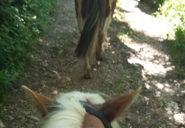 Trail Horseback riding Vaux-en-Bugey - rando Bugey j4 samedi - Photo