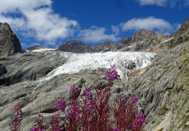 Excursión Senderismo Vallouise-Pelvoux - 2020-09-07 Marche Ailefroide Glaciers Blanc et Noir - Photo