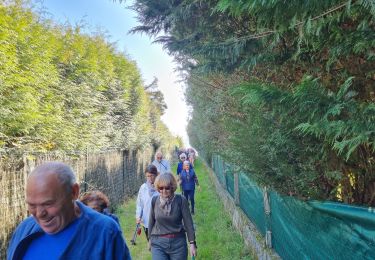 Trail Walking Saint-Yorre - CLD - GM- Le 22-03-2022 - Photo