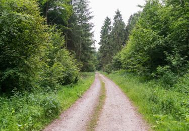 Trail On foot Blomberg - Nelkenweg Zubringer 1 - Photo