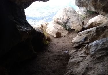 Trail Walking Sisteron - Montagne de Baume - Photo