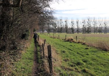 Tocht Stappen Seneffe - Feluy depuis Arquennes - Photo