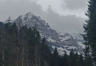 Excursión Senderismo Champéry - Fractionné Course 2  - Photo