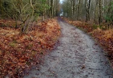 Trail Nordic walking Saint-Ghislain - Long Boule 2 - Photo