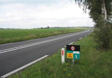 Tocht Te voet Hof van Twente - WNW Twente - Elsen -paarse route - Photo