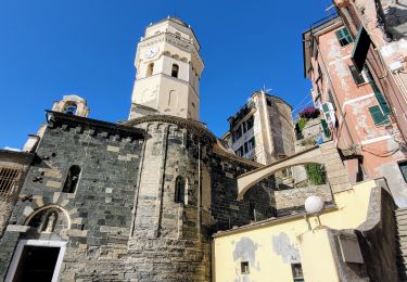 Trail Walking Vernazza - sejour-cinq-terres-4eme-jour-corniglia-manarola-riomaggiore - Photo