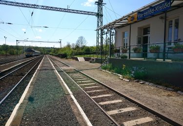 Excursión A pie Kislőd - K+ (Ajka - Városlőd) - Photo