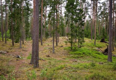 Trail On foot  - Fylleryd, vitgul - Photo