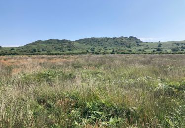 Tour Wandern Plounéour-Ménez - Roch Trévézel  - Photo