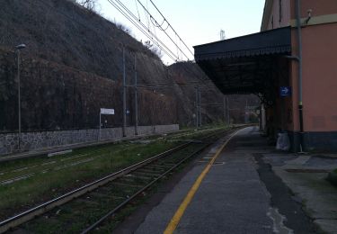 Trail On foot Genoa - Sentiero Frassati F1 - Photo