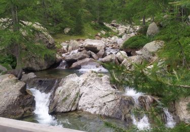 Tour Wandern Saint-Martin-Vésubie - boucle refuge de Cougourde/lac de Ttecolpas/ Pas des Ladres - Photo