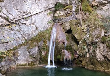 Excursión Senderismo Isaba - cascada de belabarce - Photo