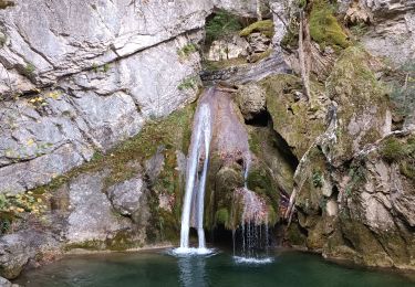 Randonnée Marche Isaba/Izaba - cascada de belabarce - Photo