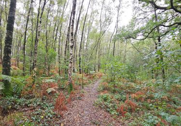 Trail Walking Sprimont - A la découverte de Andoumont 🥾 - Photo