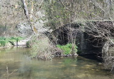 Tocht Elektrische fiets Saint-Avertin - st avertin esvres montbazon - Photo