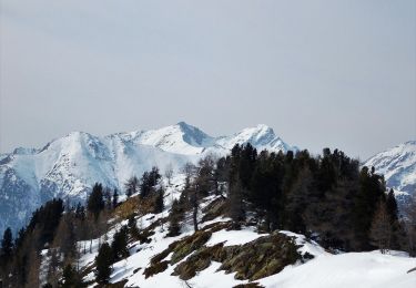 Percorso A piedi Pollone - Alta Via n. 1 della Valle d'Aosta - Tappa 3 - Photo