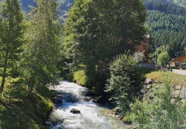 Trail Walking Pralognan-la-Vanoise - Les Hauts de la Vanoise Pont Gerlon  - Photo