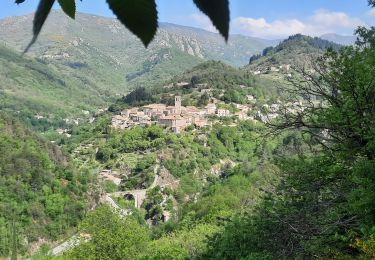 Randonnée Marche Vallées-d'Antraigues-Asperjoc - Antraigues Bise 15km - Photo