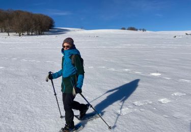 Trail Snowshoes Saint-Chély-d'Aubrac - Tourbière alte teste rodes  - Photo