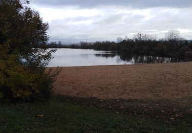 Trail Walking Villefranche-sur-Saône - bordelan - Photo