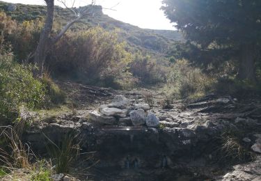 Tocht Stappen Marseille - mont carpiagne - Photo