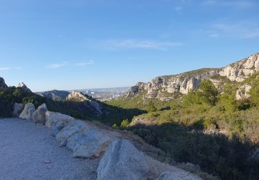 Trail Walking Marseille - Calanque Sormiou - Photo