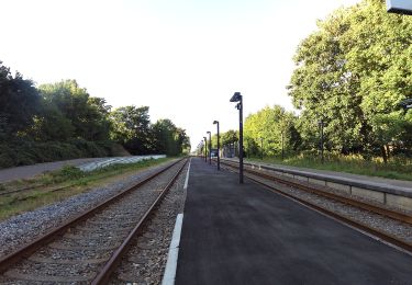 Percorso A piedi  - Blå Kløversti, Bredebro - Photo