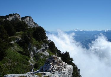 Excursión Senderismo Plateau-des-Petites-Roches - Aulp du seuil  et Grand Manti - Photo