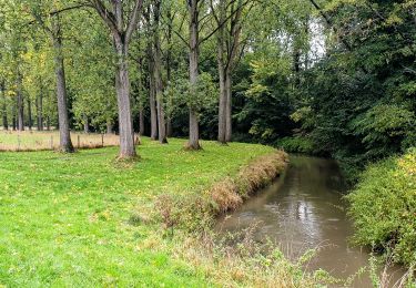 Trail Walking Ottignies-Louvain-la-Neuve - Lauzelle - Ottignies - Bois des Rêves - Photo
