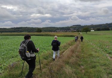 Tocht Stappen Illfurth - Illfurth  - Photo