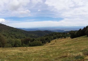 Randonnée Marche Geishouse - Ferme Haag - Lac Blallon - Le Grand Ballon - Photo