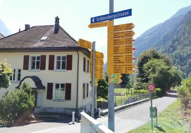 Tour Zu Fuß Erstfeld - Erstfeld-Attighauser Brücke - Photo
