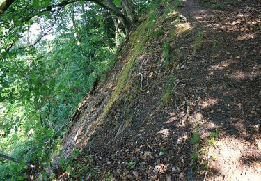Trail On foot Iserlohn - Letmathe Rundweg 3 - Photo