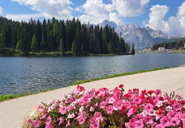 Tour Wandern Auronzo di Cadore - DOLOMITES 07 - Lavaredo - Mirusina - Photo