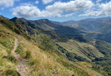 Tocht Stappen Le Falgoux - Chavaroche - Photo