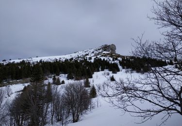 Randonnée Raquettes à neige Lans-en-Vercors - Pic St Michel via Christophe - Photo