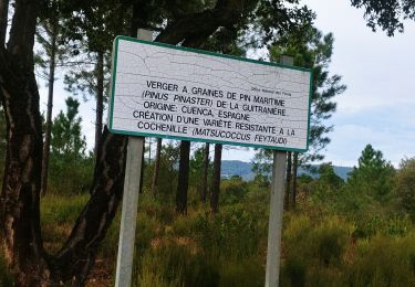 Tour Wandern Le Muy - les p'tits étangs de Palayson - Photo