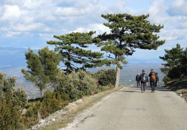 Excursión Senderismo Bonnieux - PF-Bonnieux - De la Sanguinette à la Roque des Bancs - Photo