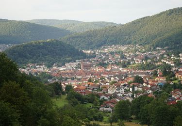 Tour Zu Fuß Eberbach - Rundwanderweg Marienhöhe 1: Ledigsberg-Weg - Photo