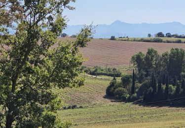 Percorso Marcia Muret - Muret - table orientation st amans - Estantes - Photo