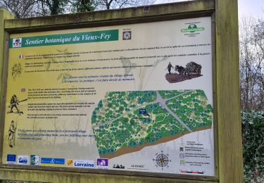 Tour Wandern Montauville - vilcey sur Trey depuis le Pétant - Photo