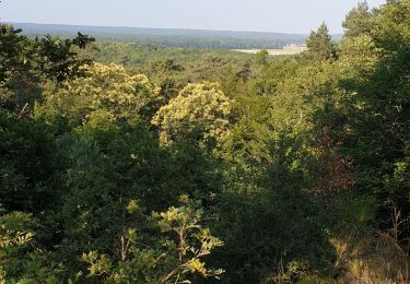 Tocht Stappen Fontainebleau - Barbizon - Photo