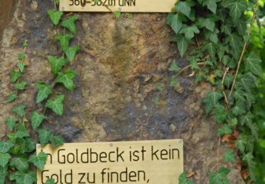 Randonnée A pied Rinteln - RI19 Rundwanderweg Goldbeck - Photo