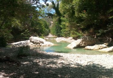 Tour Wandern Saint-Léger-du-Ventoux - Veaux - Photo