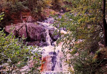 Tour Zu Fuß  - Brearedssjön runt - Photo