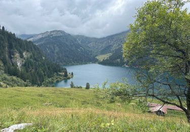 Tour Wandern Beaufort - Barrage St Guerin Refuge de l’Econdu 12 km - 600 m d’en + - Photo